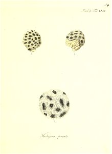 n170_w1150