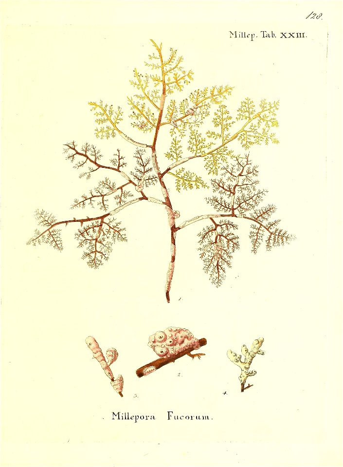 n258_w1150
