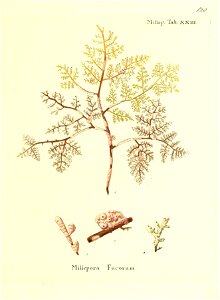 n258_w1150