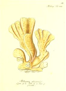 n228_w1150