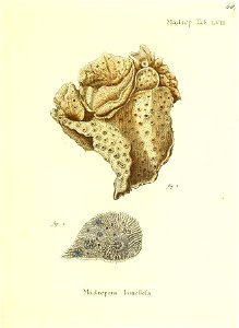 n138_w1150