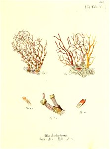 n268_w1150