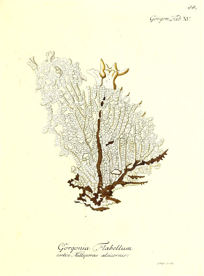 n178_w1150