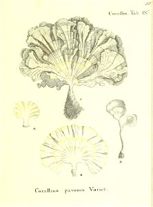 n118_w1150