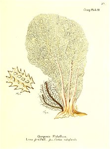 n148_w1150