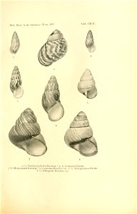 n292_w1150