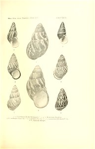 n262_w1150