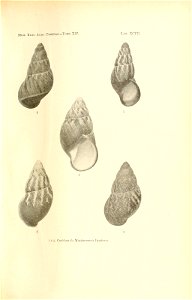 n202_w1150