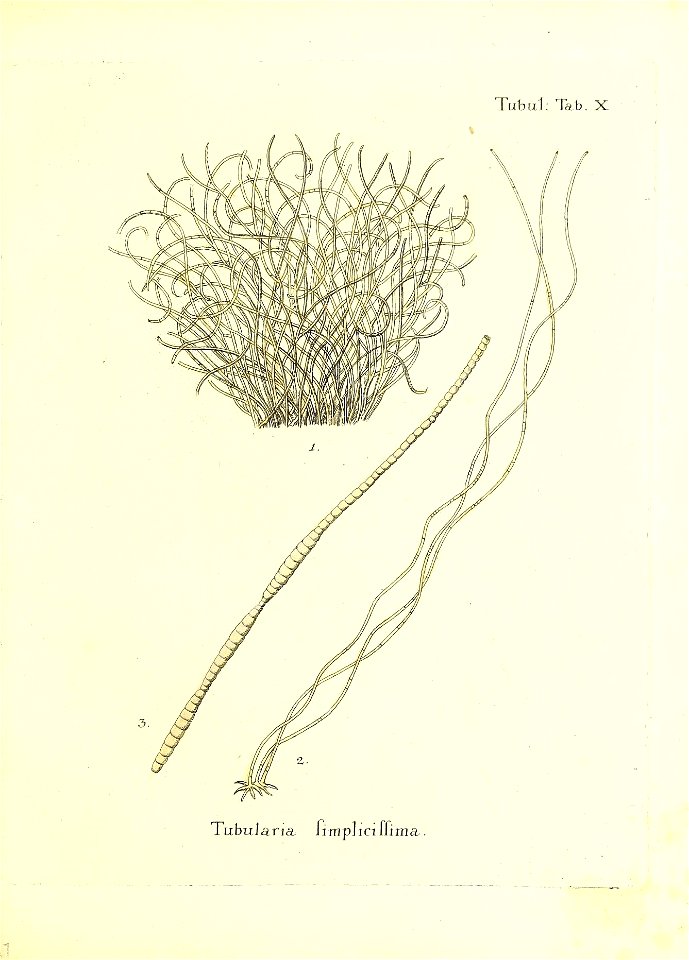n204_w1150