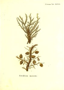 n174_w1150