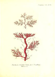 n172_w1150