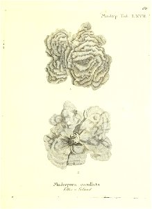 n162_w1150