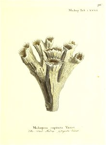 n192_w1150