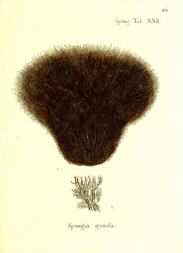 n122_w1150