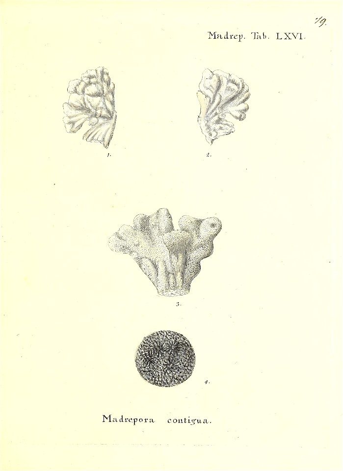 n160_w1150