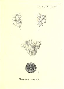 n160_w1150