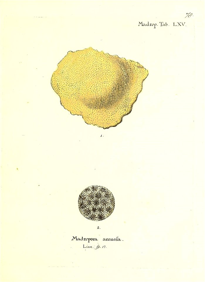 n158_w1150
