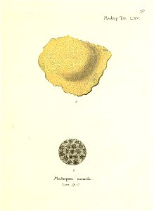 n158_w1150