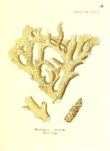 n128_w1150