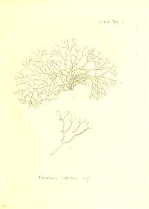 n194_w1150