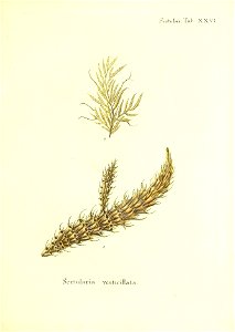 n164_w1150