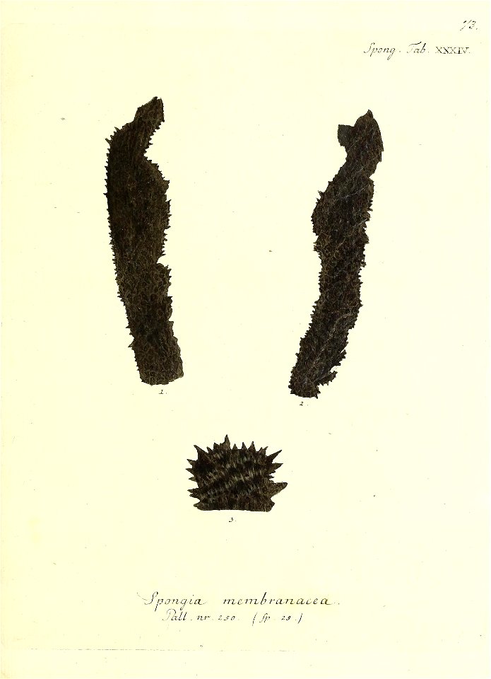 n148_w1150