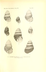 n190_w1150