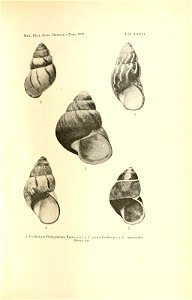 n160_w1150