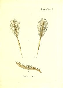 n252_w1150