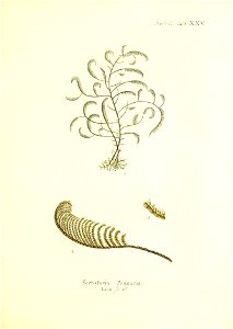 n162_w1150