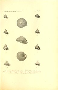 n298_w1150