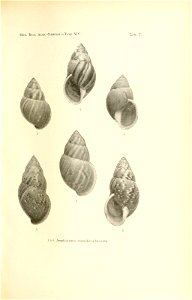 n208_w1150