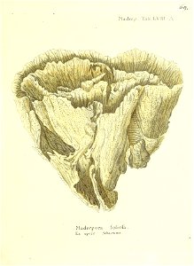 n140_w1150