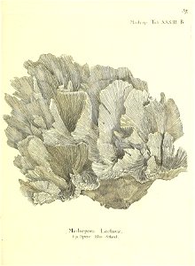 n80_w1150