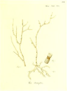 n270_w1150