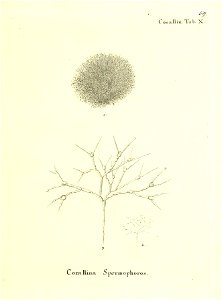 n120_w1150