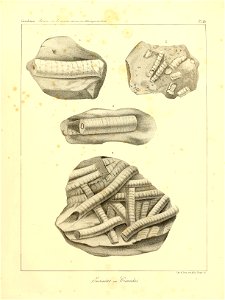 n56_w1150