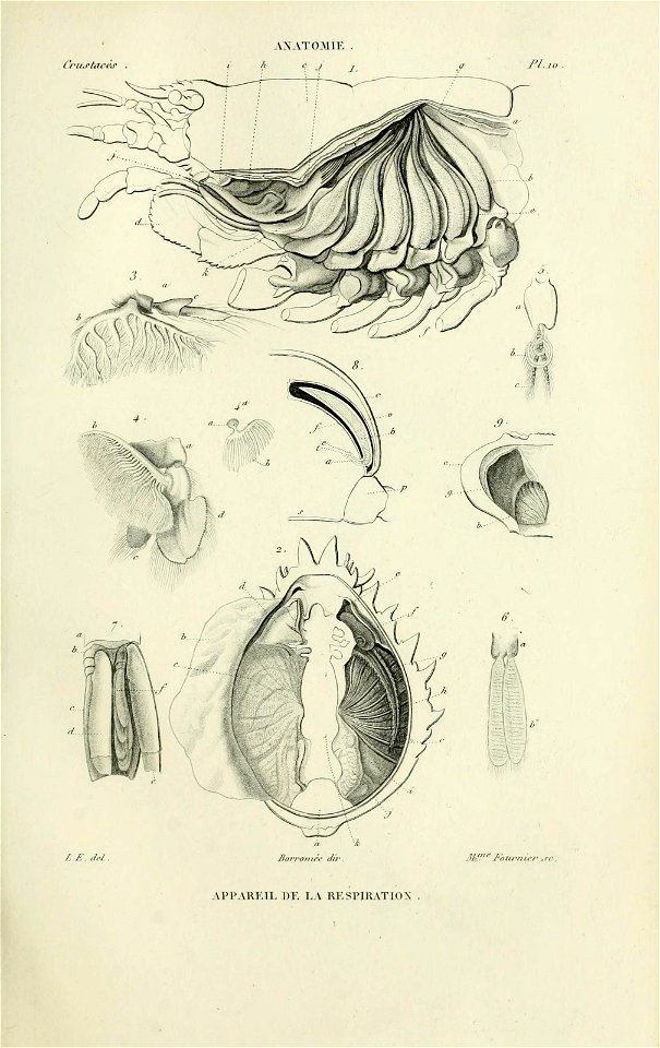 n58_w1150