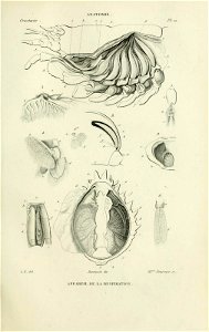 n58_w1150