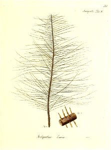 n58_w1150