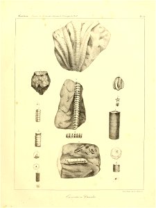 n54_w1150