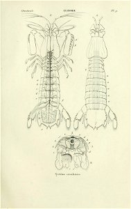 n56_w1150