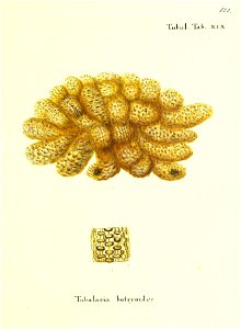 n248_w1150