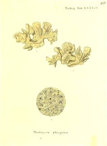 n196_w1150