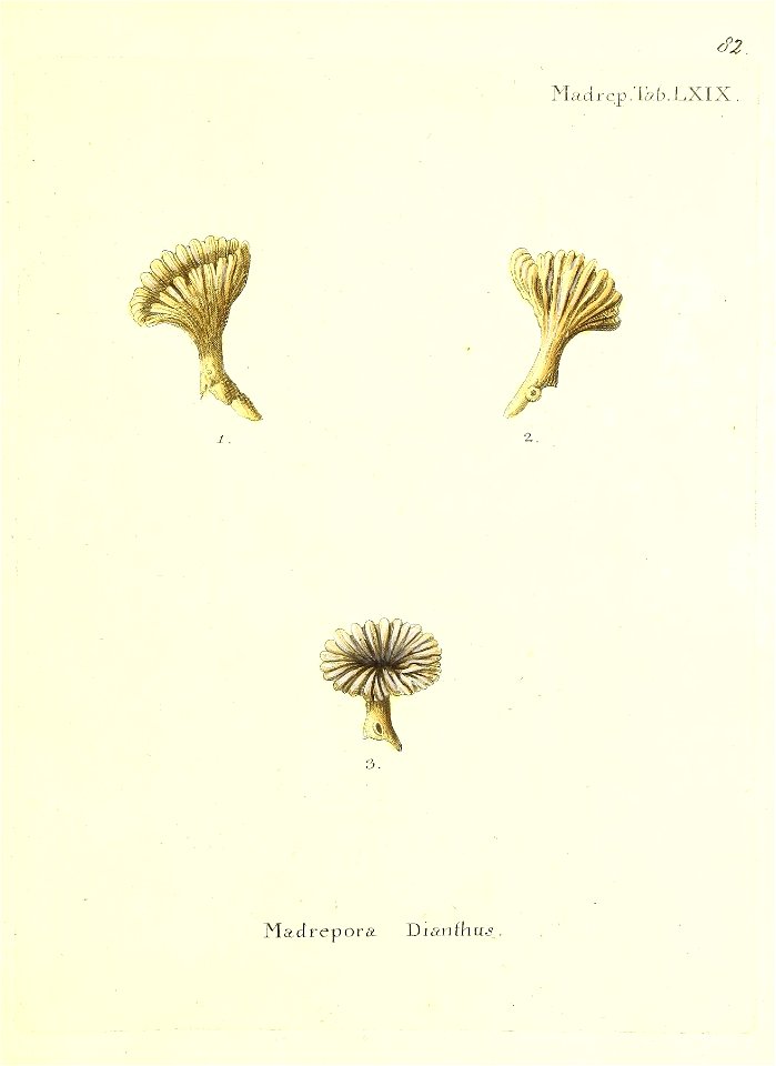 n166_w1150