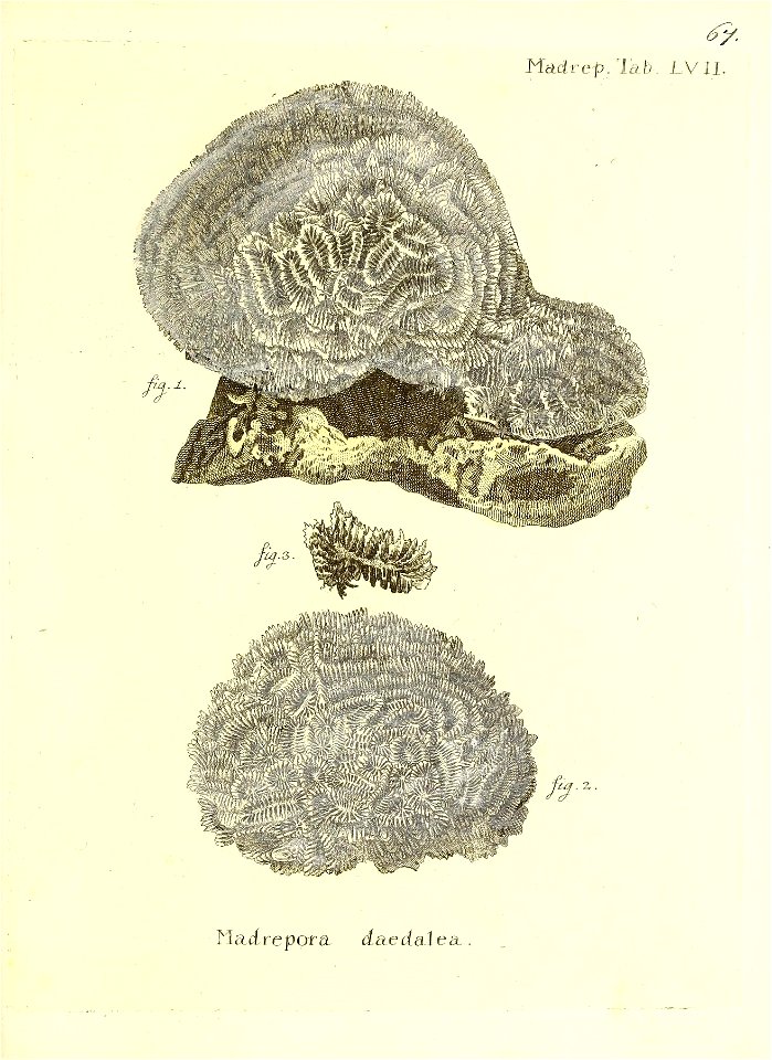 n136_w1150