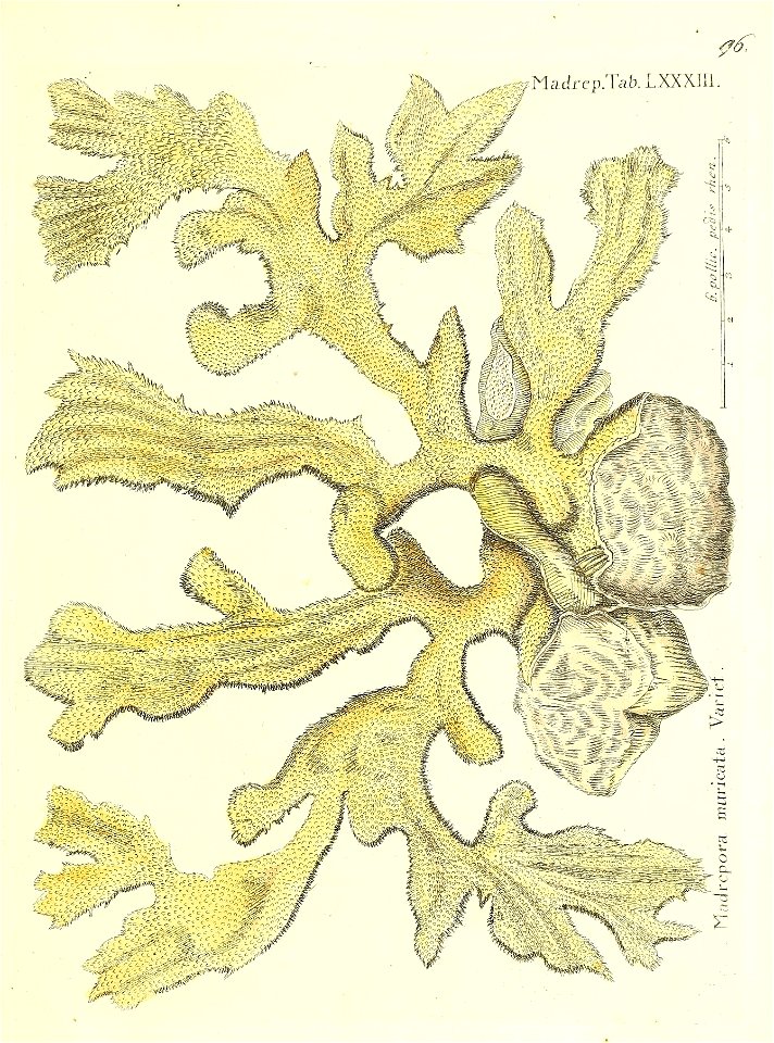 n194_w1150