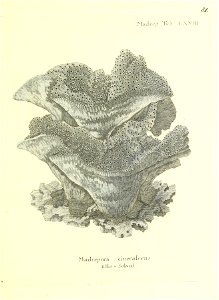 n164_w1150