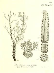 n262_w1150