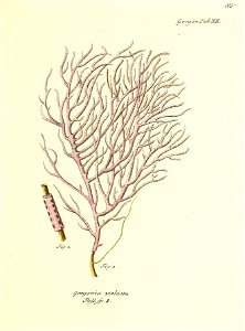 n172_w1150